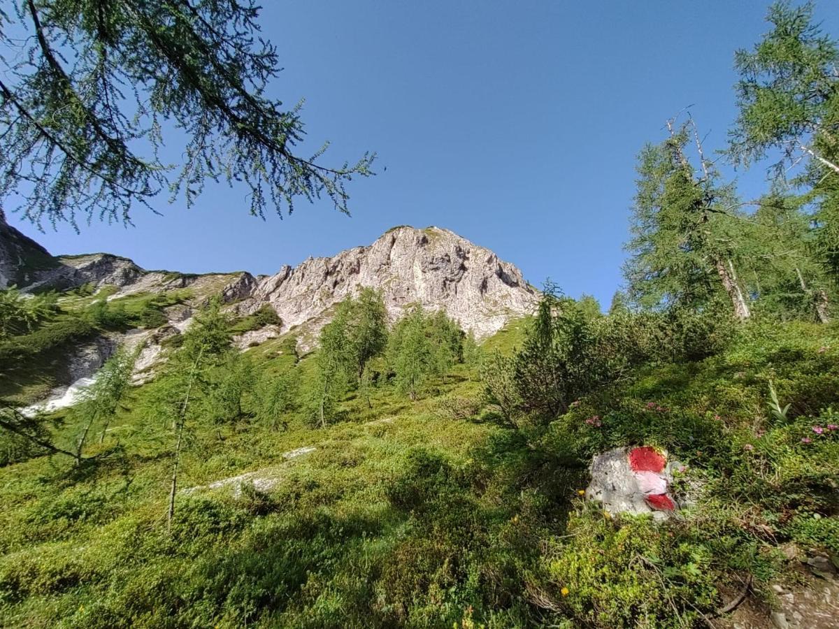 Firstpeak Chalets Zauchensee Kültér fotó